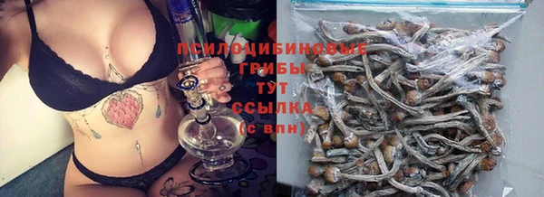 герыч Зерноград