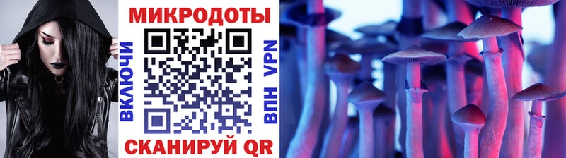 Купить  Борзя  Галлюциногенные грибы прущие грибы 