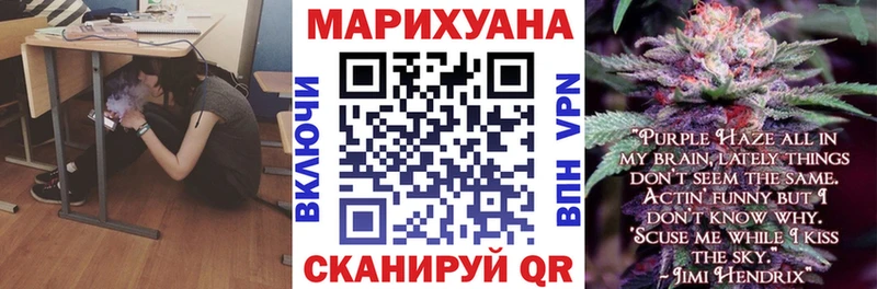 Бошки Шишки планчик Борзя